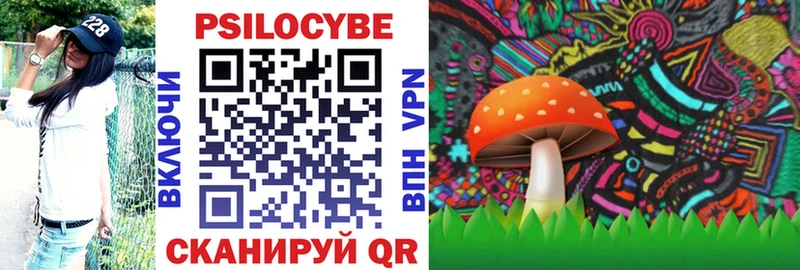Псилоцибиновые грибы мухоморы Шахты
